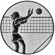 Volleyball Emblem 3