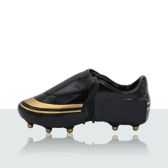 Schwarzer Fußballschuh - Schwarzer_Fussballschuh.jpg