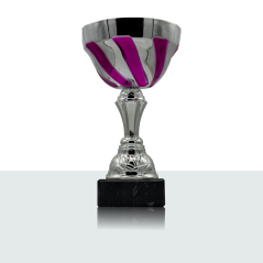 Pokal Nicolas 22,0 cm - pokal_90709_restposten_einzeln.png
