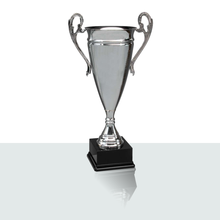 Pokal Ludwig 