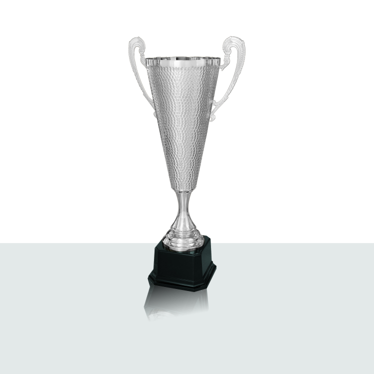 Pokal Nara 