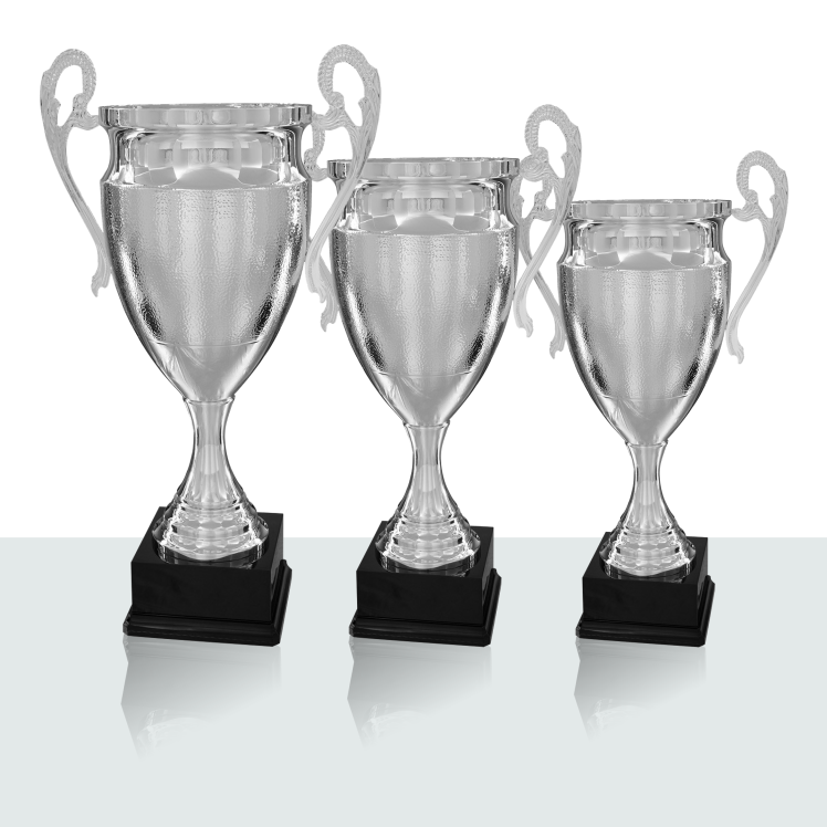 Pokal Serie Arno 