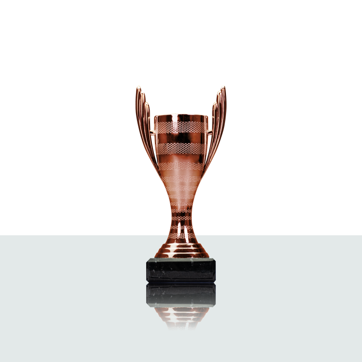 Pokal Detroit 16,0 cm bronze 