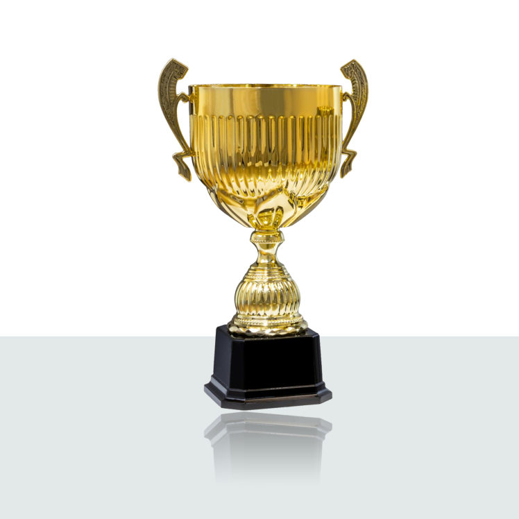 Pokal Serie Dobrina 