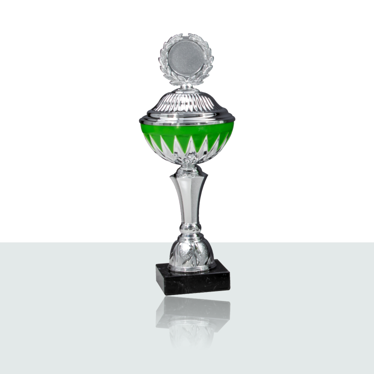 Pokal Serie Henora 