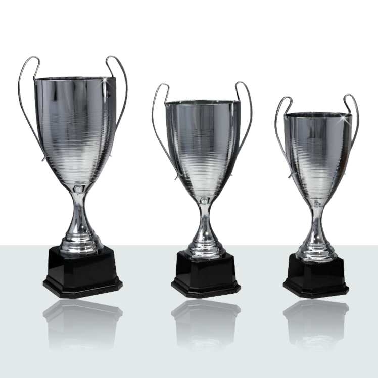 Pokal Serie Vinya 