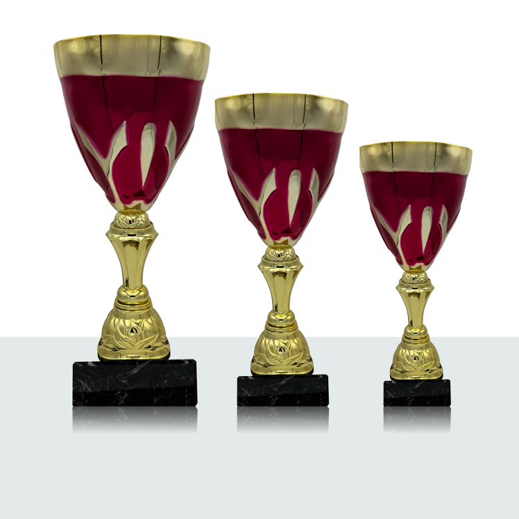 Pokal Serie Anrie 