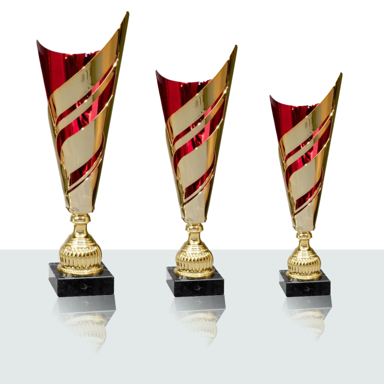Pokal Serie Levi 